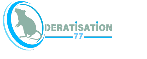 Dératisation en Seine-et-Marne