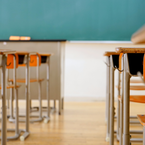 Dératisation école