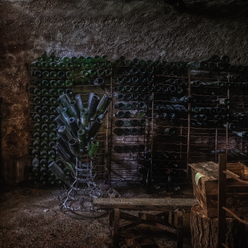 Rats dans la cave