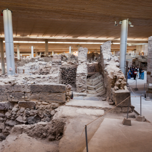 deratisation musee
